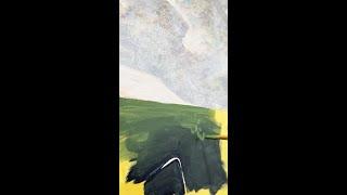 Painting tip - How to paint a hedge!