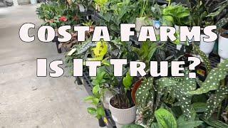 Is it true Costa Farms Trending Tropicals? Possible News! / Foop Organic Indoor Houseplant Spray