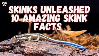 Facts about Skinks | Skinks Unleashed: 10 Amazing Skink facts | Pets and Us