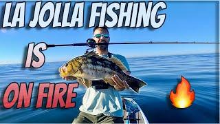 CALICO BASS Fishing, SO GOOD | NON STOP Action!