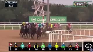 A Must See Edition Of The Group 1 $2,000,000 Dubai Golden Shaheen Won By Sibelius