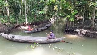 Going inside the nature // journey by BOAT