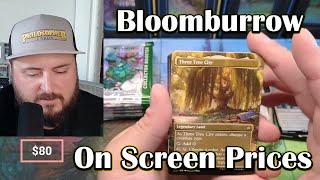 Bloomburrow Collector Box Opening - MTG -  You'll be shocked by the pricing