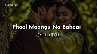 Phool Maangu Na Bahaar Maangu (Slowed and Reverb) | Udit Narayan & Alka Yagnik | Raja | #KuberEditz