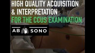 Alberta Sono: Optimizing image acquisition and quality in CCUS