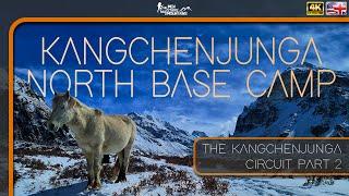 Kangchenjunga North Base Camp - The Kangchenjunga Circuit: Part 2 | Nepal 4K