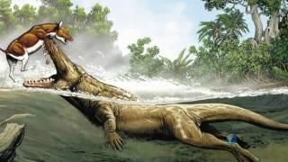 HD 2017 PBS NOVA Documentary - volution What Darwin Never Knew