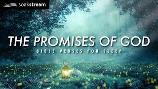 The Promises of God | Bible Verses For Sleep