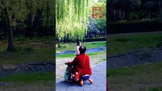 一叶赏秋色 邯郸入画来 | CCTV中文 #shorts《早安中国》