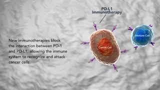 Cancer Immunotherapy: ASCO’s 2016 Advance of the Year