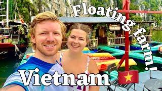 Sleeping On a Floating Farm in Vietnam!