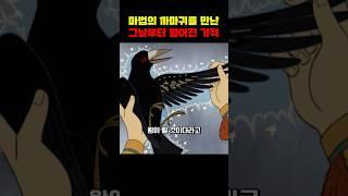 마법의 까마귀를 만난 그날부터 벌어진 기적