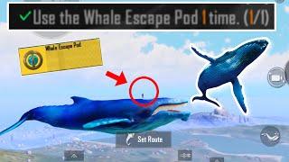 Use The Whale Escape Pod 1 Time | BGMI 3.3 Achievement Mission | Whale Escape Pod Location & Uses?