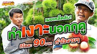 ตะลุยสวน EP.40 ตอน เผยเคล็ดลับ ทำเงาะนอกฤดู กิโลกรัมละ 90 บาท กำไรงามๆ