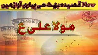 QASIDA 2024/25|Qaseeda mola Ali as|قصیدہ مولا علی ع|Latest new Qasida mola Ali|MN Jaffray channel