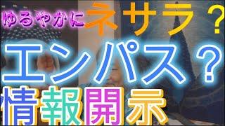 エンパス？　情報開示　ゆるやかに米ネサラ始動？