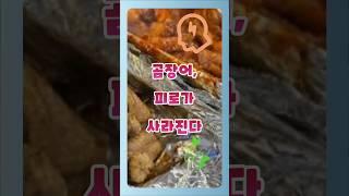 곰장어가 피로회복에 좋은 과학적 이유 (진짜 효과 있음)