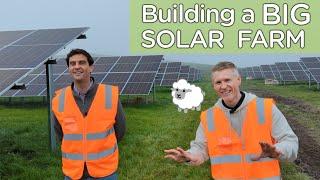 Building a BIG solar farm in New Zealand!