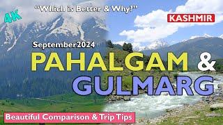 Gulmarg & Pahalgam Kashmir,  Comparison | Gondola | Trip Guide| Aru & Betab Valley|  Best of Kashmir