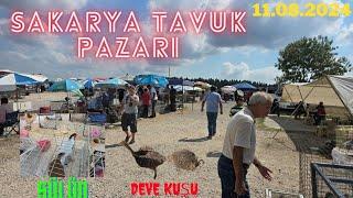 11.08.2024 Sakarya tavuk pazarı