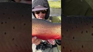 Fly fishing takes you INSANE PLACES ️ #fishing #flyfishinglife #flyfishing #trout #fish #troutfish