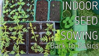 Back To Basics - Indoor Seed Sowing 101