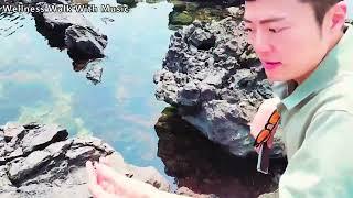 [ Wellness Walk With Music ]  Plein Soleil OST  태양은 가득히 영화주제곡