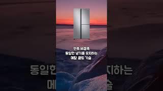 냉장고 추천 (2023) l 판매 순위 l LG 디오스, 삼성전자, 캐리어 클라윈드