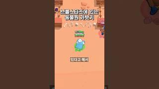 브롤에서 꼭 가봐야하는 동물원이 있다고?!