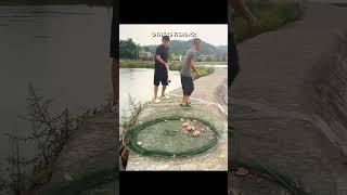 This Fishing Is Crazy