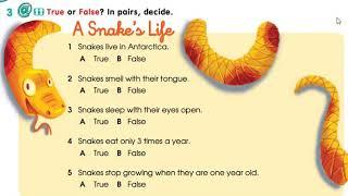 Smiles 3 Module 1 Lesson 2