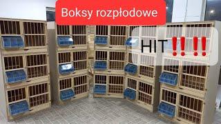 HIT W TWOJEJ HODOWLI‼️‼️‼️Boksy rozpłodowe, 100% pewności pochodzenia z danej pary Tel. 607-841-730