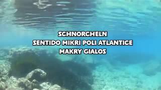 Schnorcheln auf Kreta - Hausriff Sentido Mikri Poli Atlantica