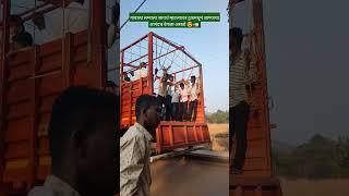 लग्नाची गाणी|kokanatil lagnachiगाणी#youtubeshorts #ytshorts #youtube #kokan #short #shorts #trending