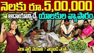 How To Start Elaichi Business In Telugu | Self Employment Business Idea | Cardamom Business Idea