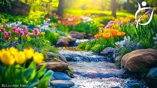 Relaxing Piano Music - Blooming Nature, Singing Birds, and Peaceful Piano Tunes to Ease Your Mind