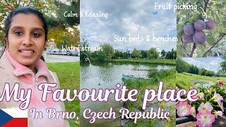 Let’s Taste some Fresh FruitsMy Favourite Place in BrnoTechnology park|Czechia Malayalam vlog 