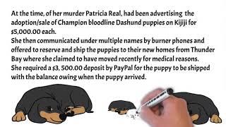 Cold Case Crusaders  Puppy Scammer Beware