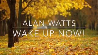 Alan Watts - WAKE UP NOW!!!