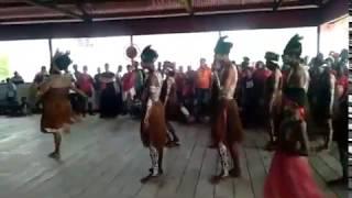 Kebudayaan Papua "Tarian Seka Papua"