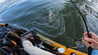 Catching a Limit of Tautog : Epic Fishing Day (+ Underwater View)