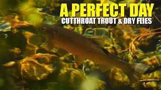 (Fly Fishing)  A Perfect Day - Cutthroat Trout & Dry Flies. Joy in Cutthroat Trout Back Country