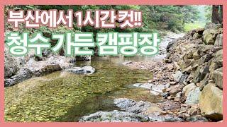 접근성 좋은 부산 근교 계곡 캠핑장? | 그런데가 있나? | 청수가든 캠핑장