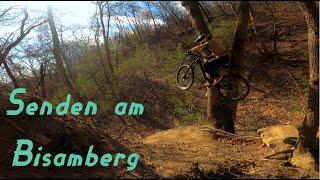 Shredden am Bisamberg | 2111 Fahrradsender