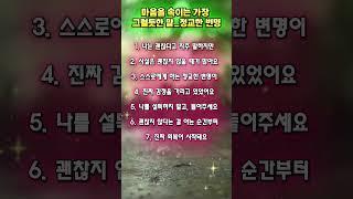 마음을 속이는 가장 그럴듯한 말_정교한 변명
