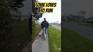 Louie loves running