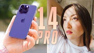 iPhone 14 Pro Camera Test: Don't Listen To Photographers!