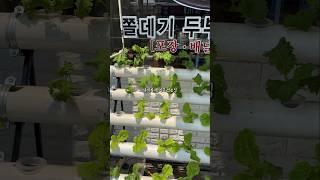 여기는 아주 그 뭐랄까.. 그..뭐, 아주.. 유명한