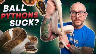 DO NOT Get A Pet Ball Python Until You Watch This!