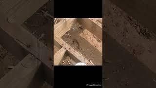 Deck remodel hack